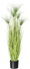 mömax Dornbirn - Ihr Trendmöbelhaus in Dornbirn Kunstpflanze Miscanthus Cyperus ca. 125cm
