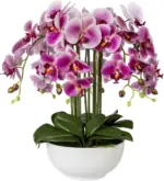 mömax Dornbirn - Ihr Trendmöbelhaus in Dornbirn Kunstblume Orchidee ca. 54cm