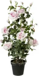 Kunstpflanze Rosenstock ca. 112cm