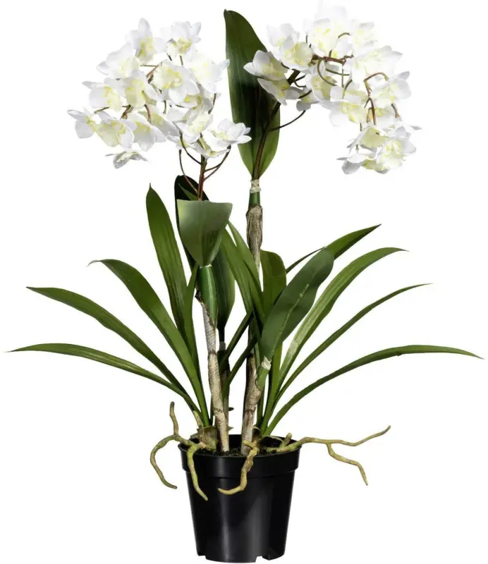 Kunstblume Dendrobie I