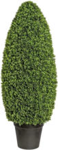 mömax Spittal a. d. Drau Kunstpflanze Buchsbaum in Grün ca. 125cm