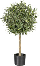 mömax Spittal a. d. Drau Kunstpflanze Olivenbaum in Grün, ca. 90cm