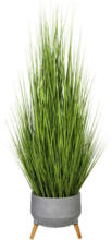mömax Spittal a. d. Drau Kunstpflanze Gras mit Übertopf, ca. 150cm