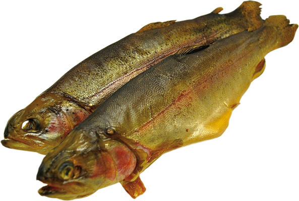 Lachsforelle (Oncorhynchus mykiss) kaltgeräuchert /lose