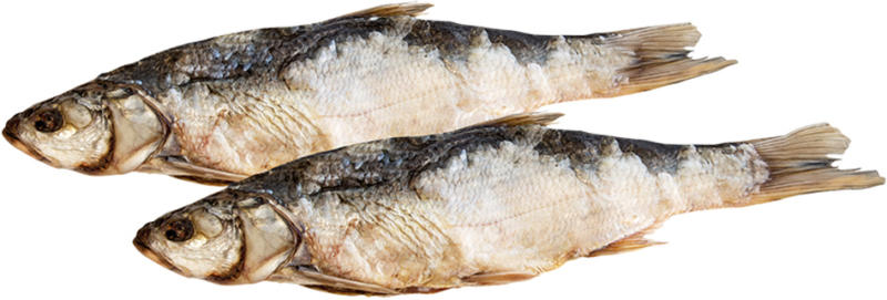 Rapfen (Aspius aspius) ausgenommen, gesalzen und gedörrt / lose