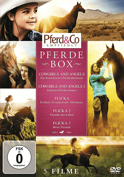 Pferde Box