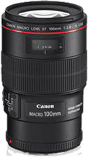 CANON EF 100mm f/2.8L Macro IS USM - Primo obiettivo