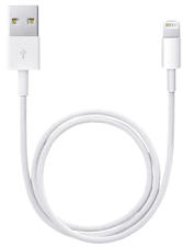 APPLE Lightning to USB Cable - 50 cm - blanc - Câble Lightning (Blanc)