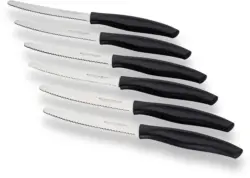 Messerset Basic-Edition 6er Set