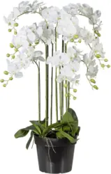 Kunstblume Orchidee ca. 110cm