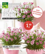 Oldenburger Wohngarten GmbH & Co. KG Pflanze ein Lächeln! - bis 21.04.2021