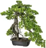 mömax Kunstpflanze Bonsai ca. 45cm