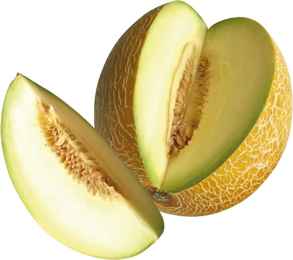 Melonen - Zuckermelonen