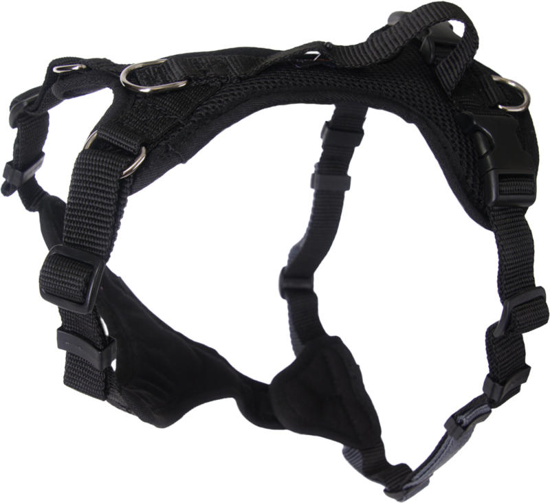 Grossenbacher Harnais pour chiots Vario Puppy noir L