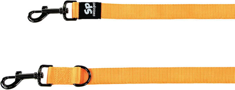 Freezack ONE Laisse 25mm/180cm orange
