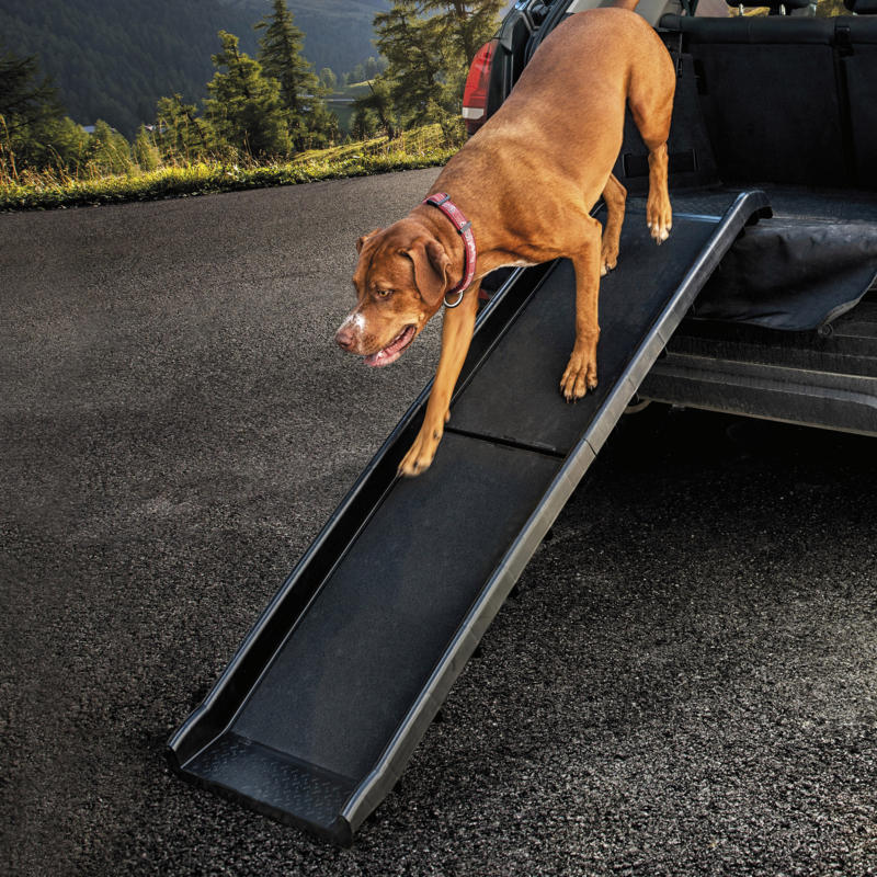 Freezack Rampe pour voiture Travel Dog