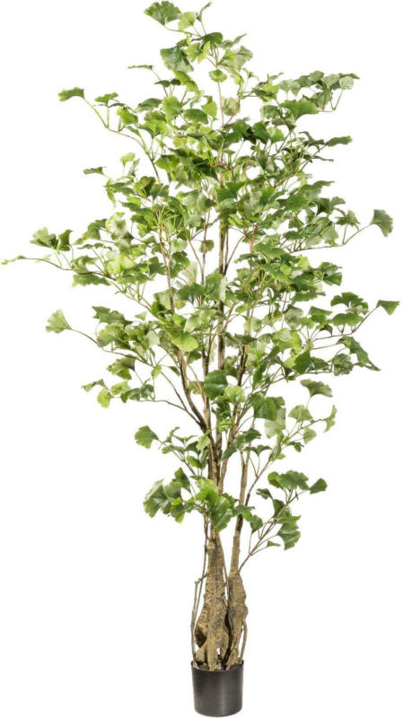 Kunstpflanze Ginkobaum ca. 155cm