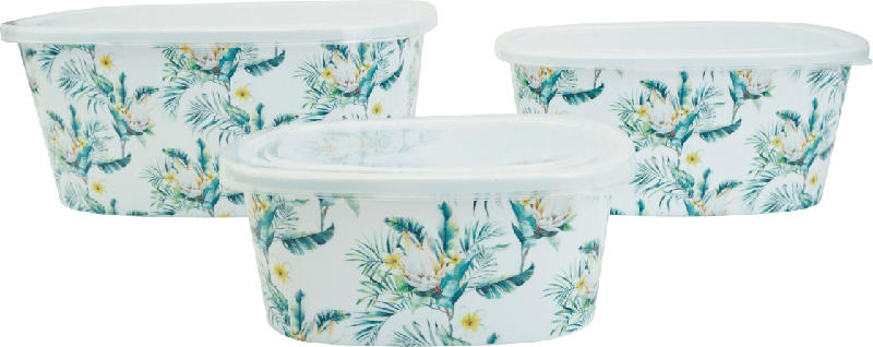 Dekorieren & Einrichten Aufbewahrungsdosen Kunststoff Frangipani (3-er Set)