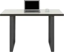 Schreibtisch in Wei&szlig;/Grau