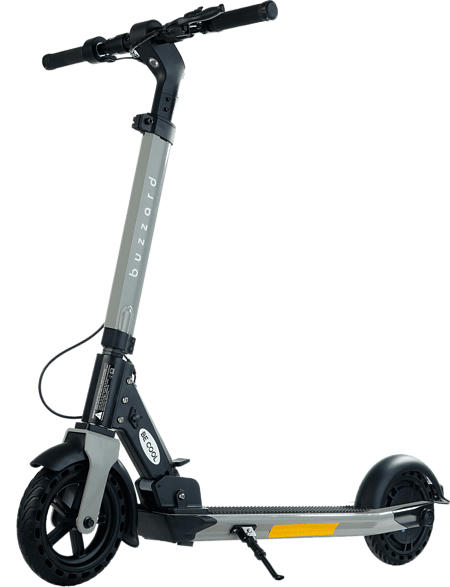 E-Scooter BUZZARD, anthrazit