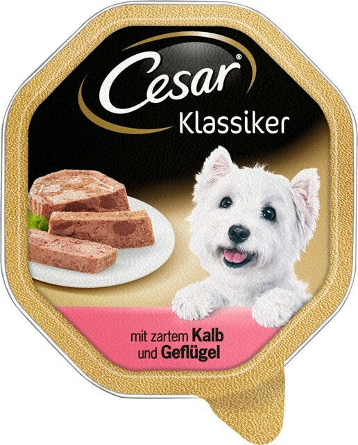 Cesar Hundenahrung