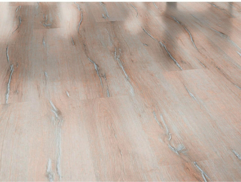 Laminatboden Excellent Eiche Luna Hell 8 mm