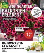 Oldenburger Wohngarten GmbH & Co. KG Balkonien erleben! - bis 04.05.2021