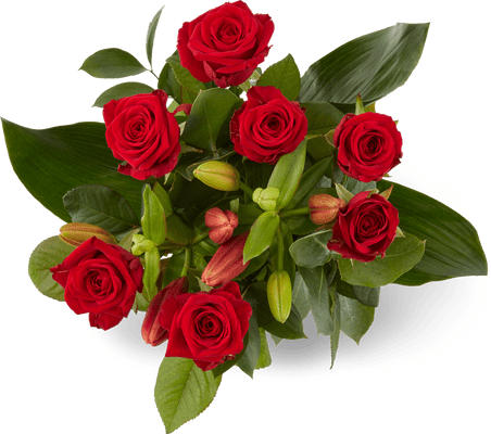 Bouquet Splendide 2 M-Classic