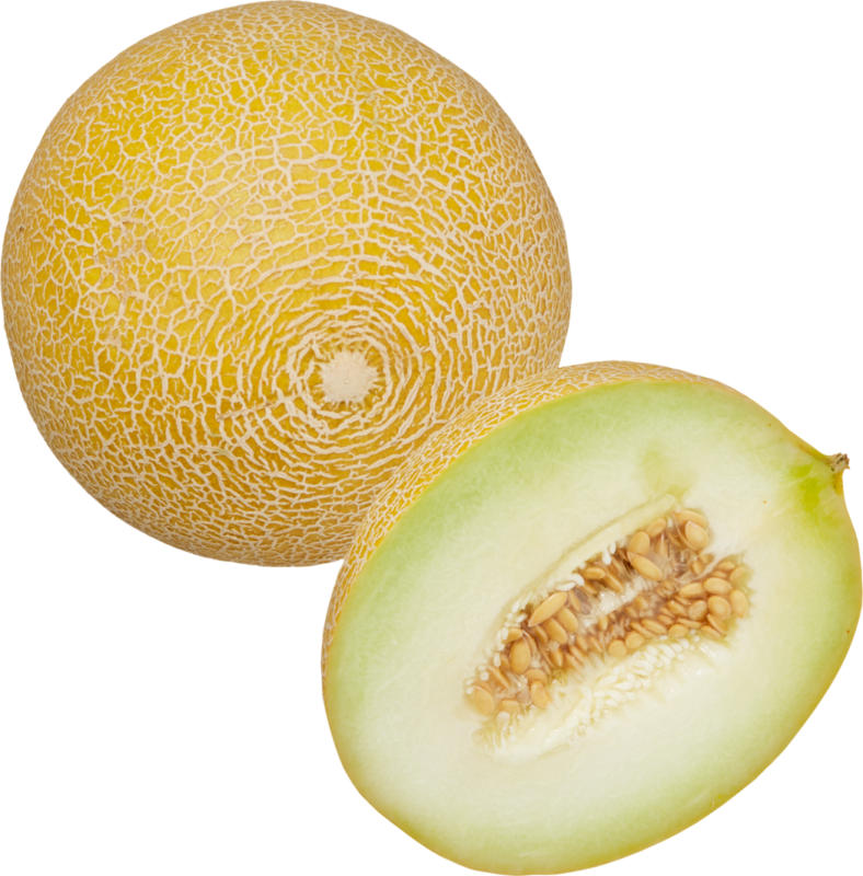 Melone Galia, Spanien/Italien, per Stück
