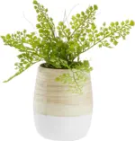 mömax Übertopf Naturelle Ø ca. 12cm