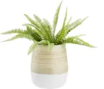 mömax Übertopf Naturelle Ø ca. 16cm