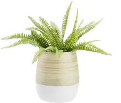 Übertopf Naturelle Ø ca. 16cm