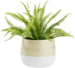 mömax Übertopf Naturelle Ø ca. 22cm