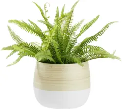 Übertopf Naturelle Ø ca. 22cm