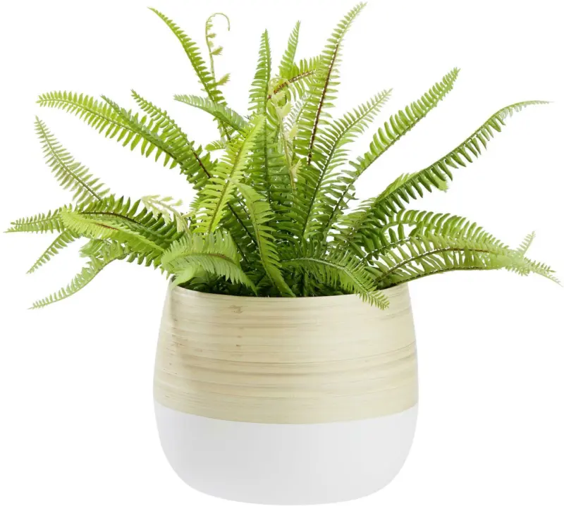 Übertopf Naturelle Ø ca. 22cm