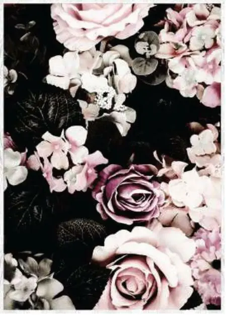 Keilrahmenbild Liam in Bunt, ca. 50x70cm