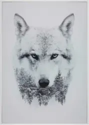 Keilrahmenbild Liam in Bunt, ca. 50x70cm