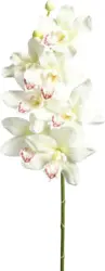 Kunstpflanze Cymbidie in Weiß