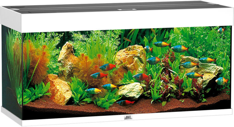 Juwel Aquarium Rio 180 101x41x50cm weiss