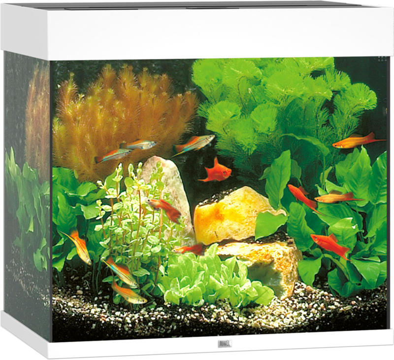Juwel Aquarium Lido 120, 61x41x58cm, blanc