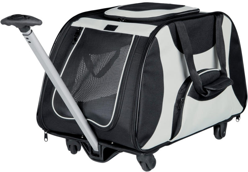 Trolley 34x43x67cm schwarz-grau