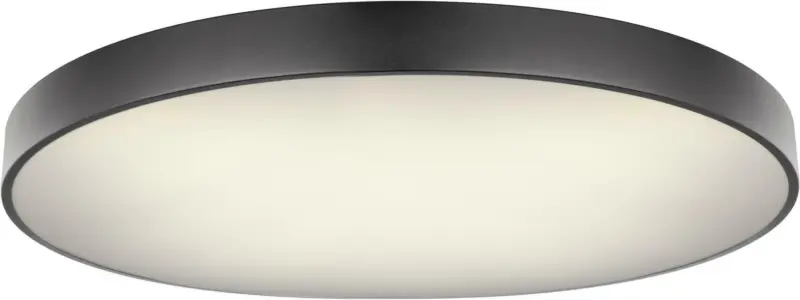 LED-Deckenleuchte Wiss max. 60 Watt Deckenlampe