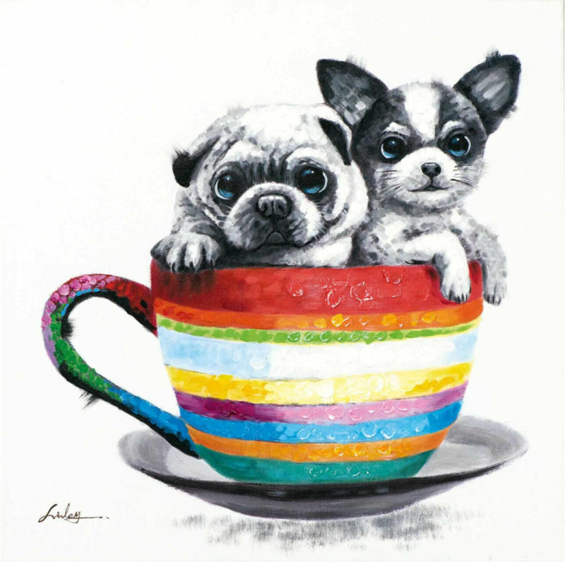 Bild Zwei Hündchen in Einer Tasse