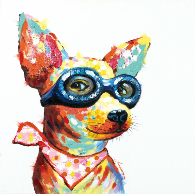 Bild Hund mit Brille