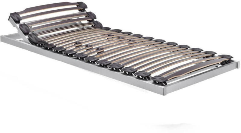 Einlegerahmen Swiss Vital Flex k