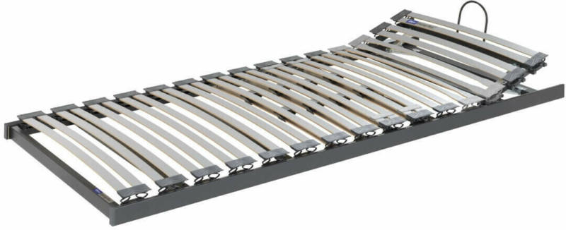 Einlegerahmen Swing-Flex Modell a