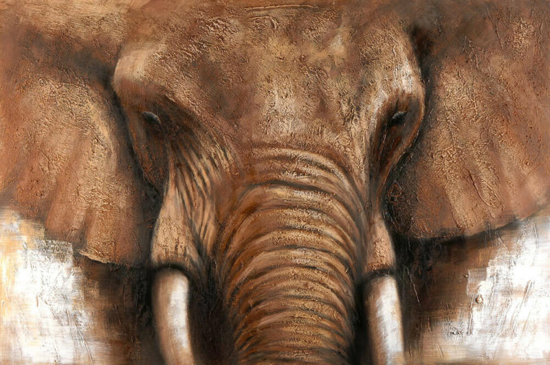 Bild Elefant