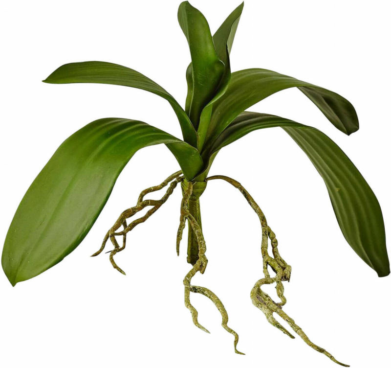 Kunstpflanze Orchideenblätter