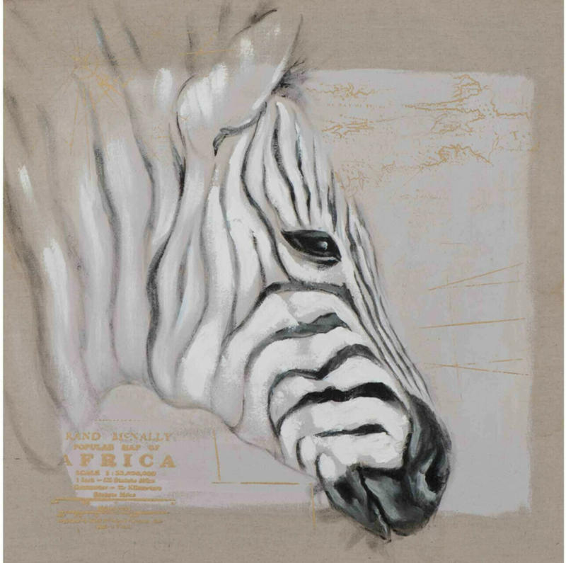 Bild Zebrakopf