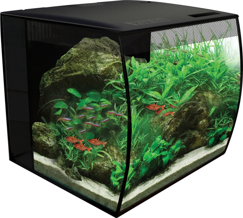 Fluval Flex Aquarium 34l schwarz